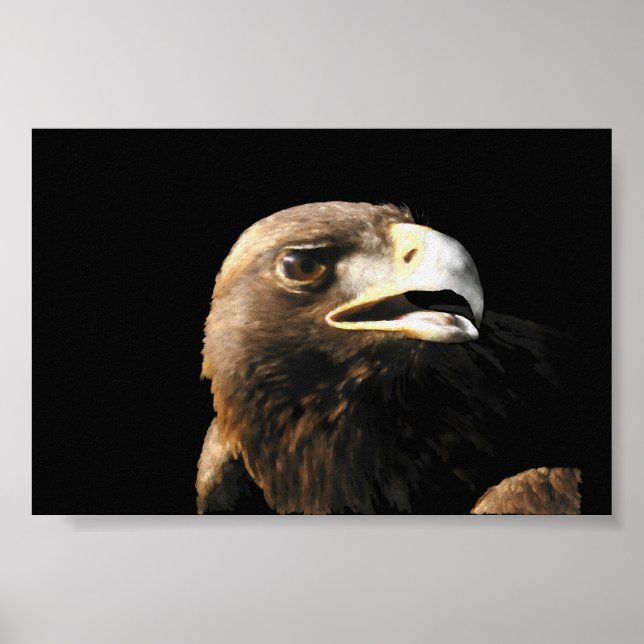 Golden Eagle Portrait Poster (Front)