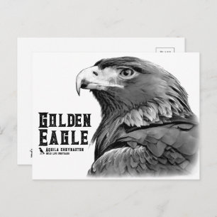 Golden Eagle Postcard