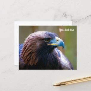 Golden Eagle Postcard