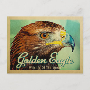Golden Eagle Postcard - Wildlife of the World Bird