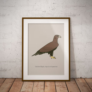 Golden Eagle  Poster