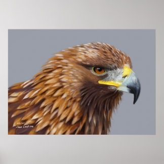 Golden Eagle Posters | Zazzle.co.uk