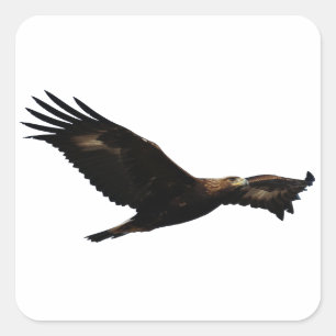 Golden Eagle Square Sticker