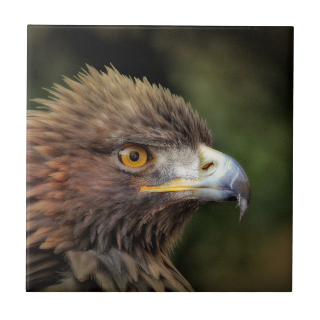 golden eagle tile (Front)