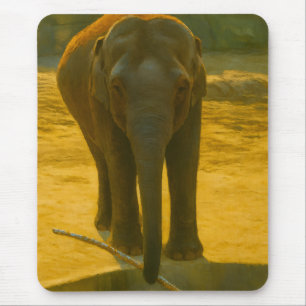 Golden Elephant Wisdom – Majestic Wildlife Mouse Mat