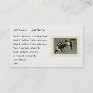 Golden-Eye Duck - from Audubon's Birds of America Business Card