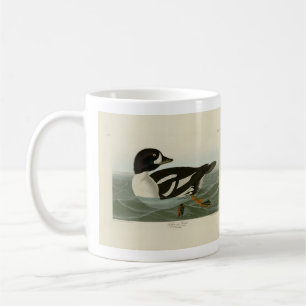 Golden-eye Duck from Audubon's Birds of America Coffee Mug