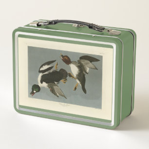 Golden-Eye Duck - from Audubon's Birds of America Metal Lunch Box
