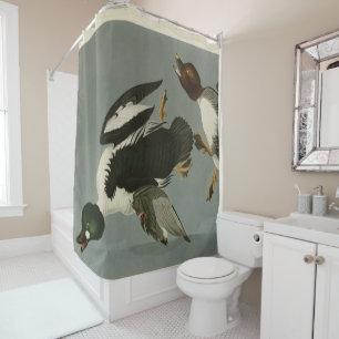 Golden-Eye Duck - from Audubon's Birds of America Shower Curtain