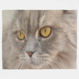 Golden Eye Grey Persian Cat Fleece Blanket