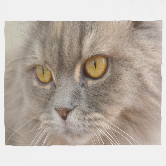 Golden Eye Grey Persian Cat Fleece Blanket (Front (Horizontal))