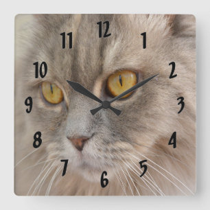 Golden Eye Grey Persian Cat Square Wall Clock