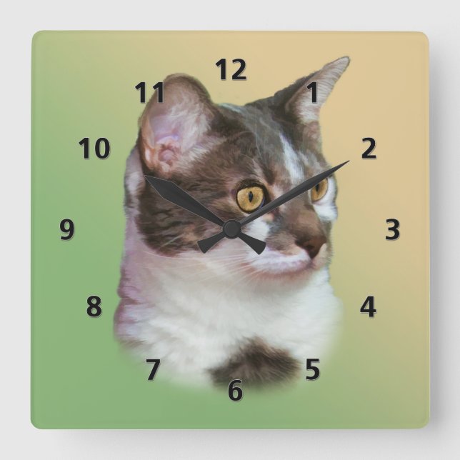 Golden-eyed Cat Square Wall Clock (Front)