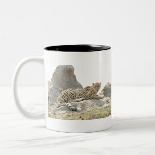 Golden Eyed Cheetah On  A Termite Mound, Botswana Two-Tone Coffee Mug