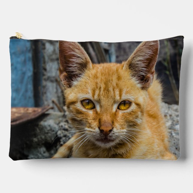 Golden Eyes Accessory Pouch (Front)