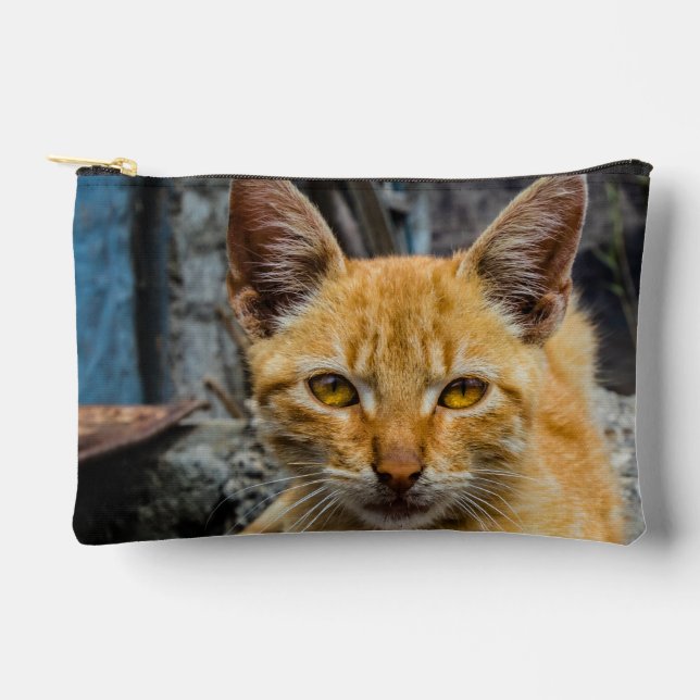 Golden Eyes Accessory Pouch (Front)