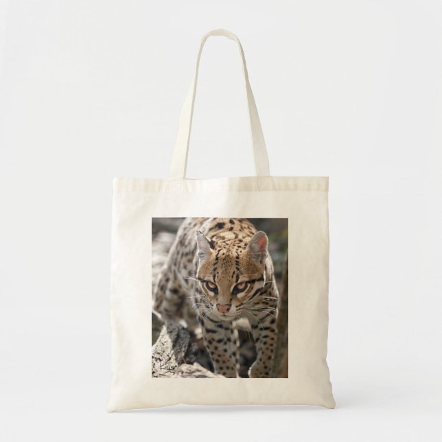 Golden Eyes Bag (Front)