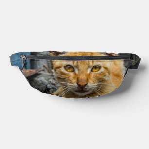 Golden Eyes Bum Bags