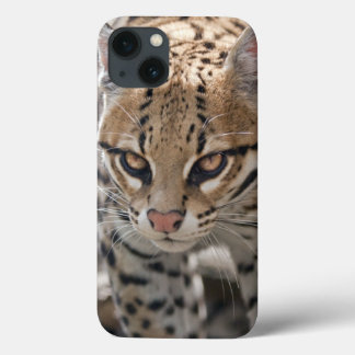 Golden Eyes iPad Case