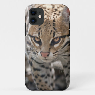 Golden Eyes iPhone 5 Case
