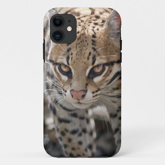 Golden Eyes iPhone 5 Case (Back)