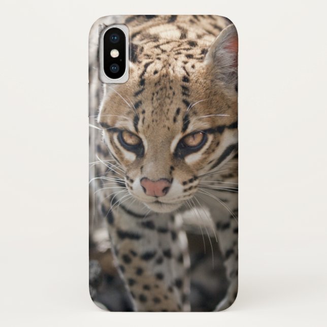 Golden Eyes iPhone X Case (Back)