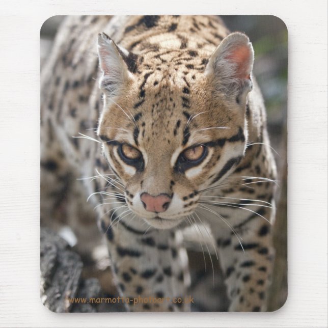 Golden Eyes Mousemat (Front)