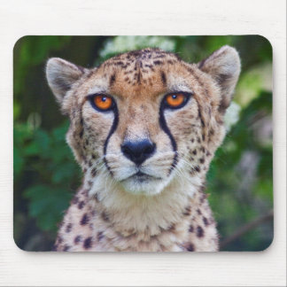 Golden Eyes Mousemat