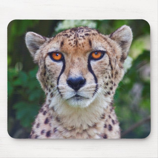 Golden Eyes Mousemat (Front)