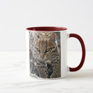 Golden Eyes Mug