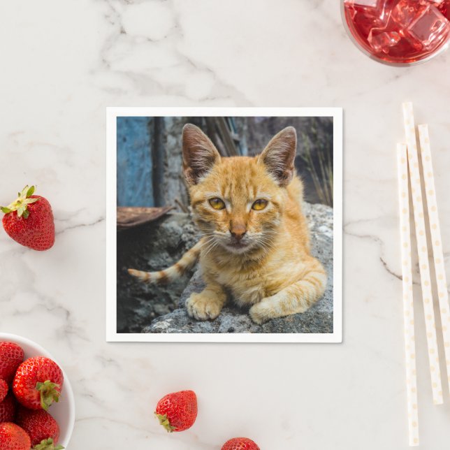 Golden Eyes Napkin (Insitu)