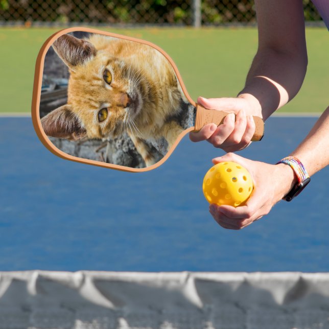 Golden Eyes Pickleball Paddle (Insitu)
