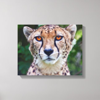 Golden Eyes Wrapped Canvas