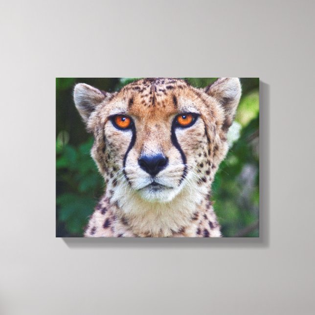 Golden Eyes Wrapped Canvas (Front)