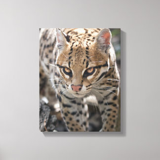 Golden Eyes Wrapped Canvas Print