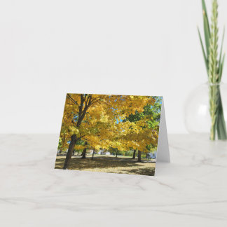 Golden Fall Leaves at the Park Card