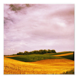 Golden Farmland Photo Print