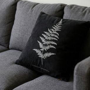 Golden Fern Frond, Gymnogramma Chrysophylla Cushion