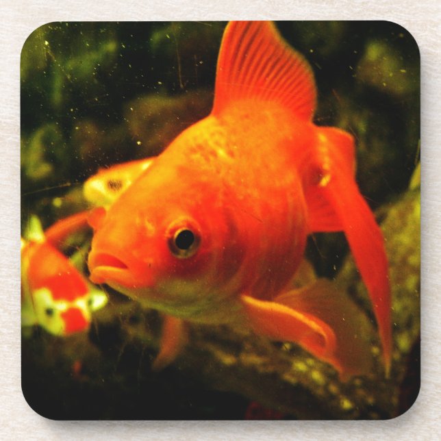 Golden fish coaster (Front)