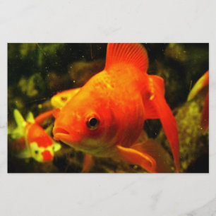 Golden fish stationery