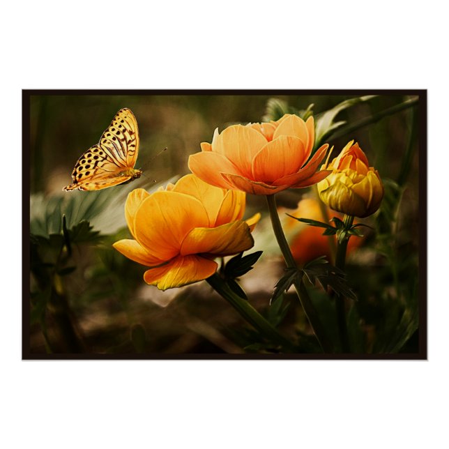 Golden Flowers and Butterfly Poster (Front)