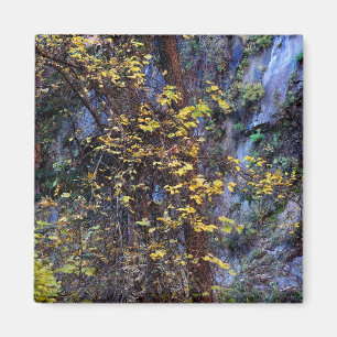 Golden Foliage Magnet