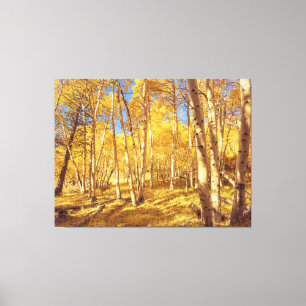 Golden Forest Canvas Print
