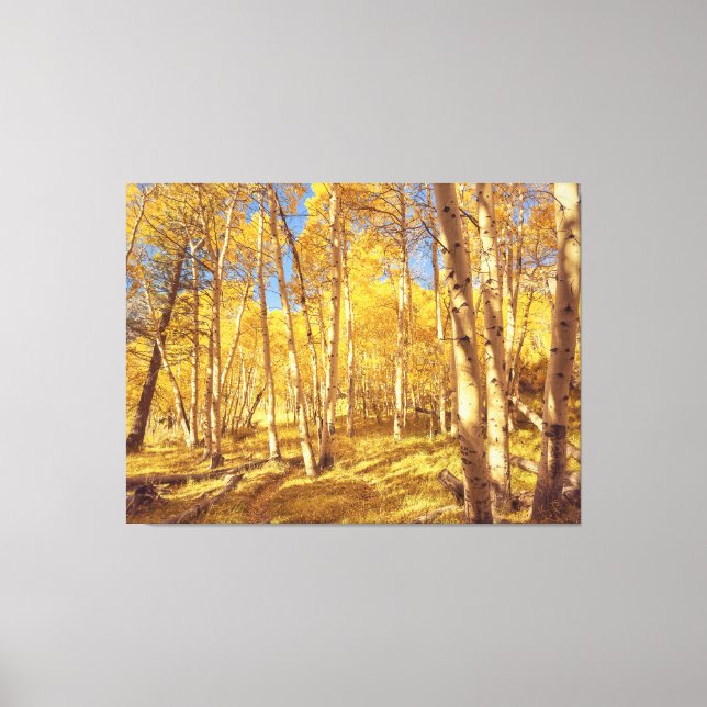 Golden Forest Canvas Print (Front)