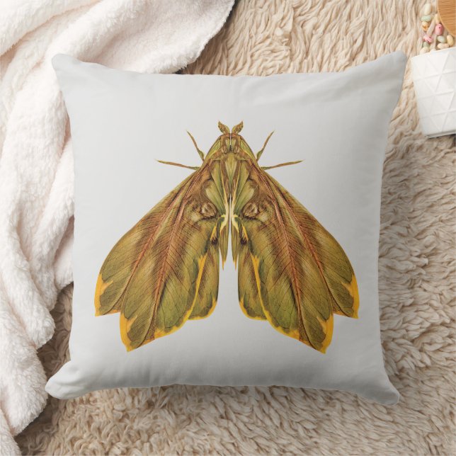Golden Forest Moth – Surreal Nature Form Cushion (Blanket)