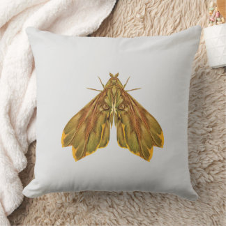 Golden Forest Moth – Surreal Nature Form Cushion