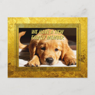 Golden Frame - Rectangle Shape 8 Golden Retriever Postcard