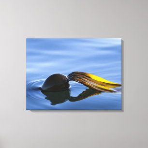 Golden Fronds Wrapped Canvas