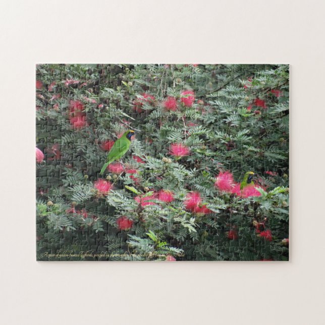 Golden-fronted Leafbirds Pink Flowers Photo Nature Jigsaw Puzzle (Horizontal)