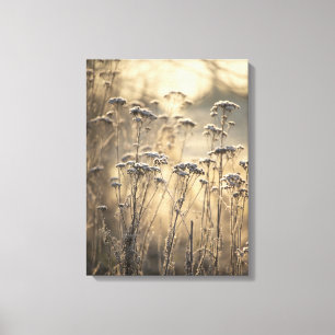 Golden Frosty Morning Flemish Countryside Canvas Print